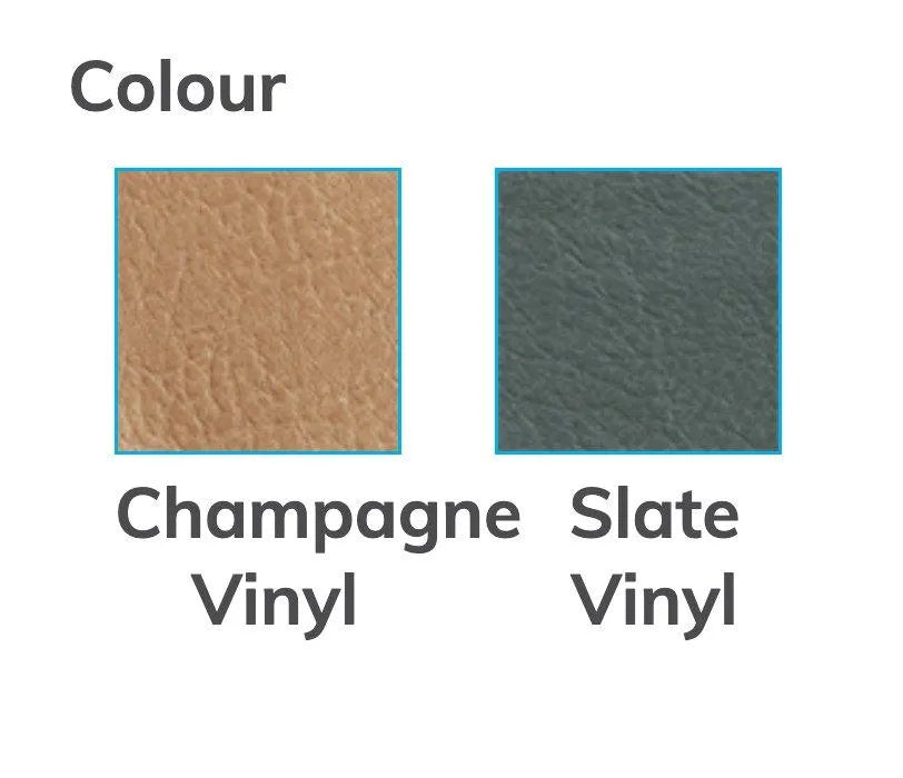 Aspire Adjustable Height Chairs in Champagne and Slate Vinyl for high back day chair for elderly