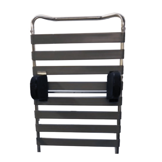 Aspire Shower Commode Lateral Support