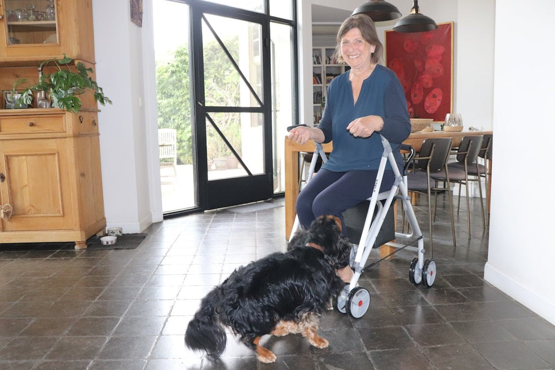 Exploring the Versatility and Benefits of a Tri Wheel Walker for Robust Walking Support - 4MOBILITY WA - Mandurah