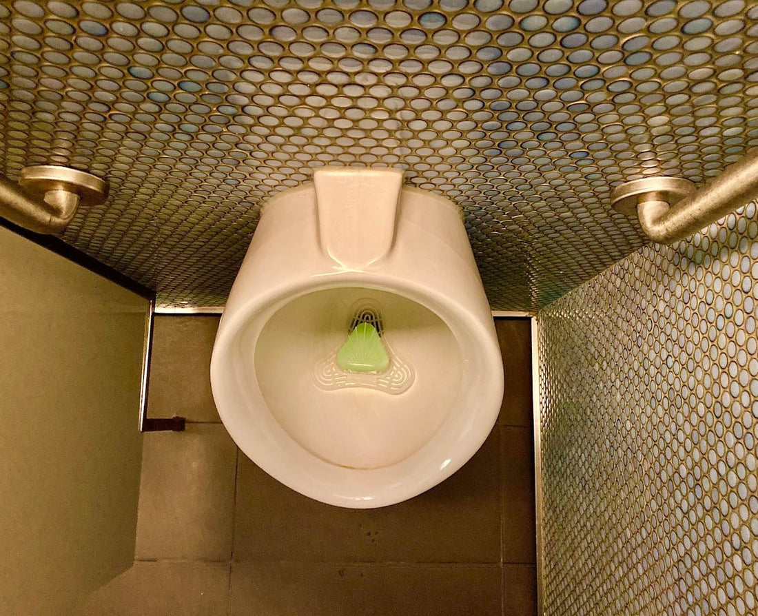 How Grab Rails and Suction Rails Can Prevent Bathroom Accidents - 4MOBILITY WA - Mandurah