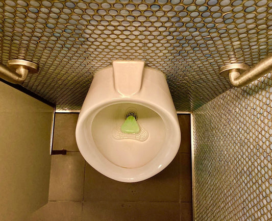 How Grab Rails and Suction Rails Can Prevent Bathroom Accidents - 4MOBILITY WA - Mandurah