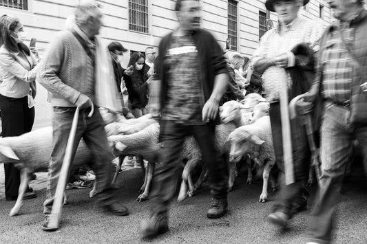 a group of people walking down a street with sheep