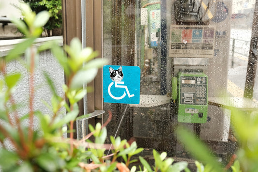 A wheelchair-accessible phone booth with a cat.