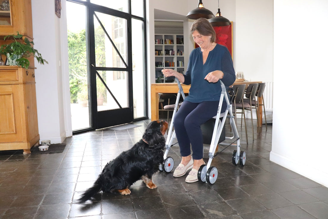 A woman sits with a walker, interacting with a dog.