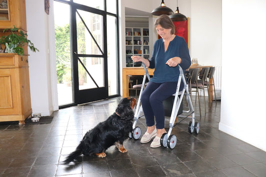A woman sits with a walker, interacting with a dog.