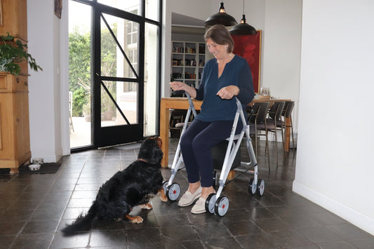 Woman with a walker interacts with a dog.