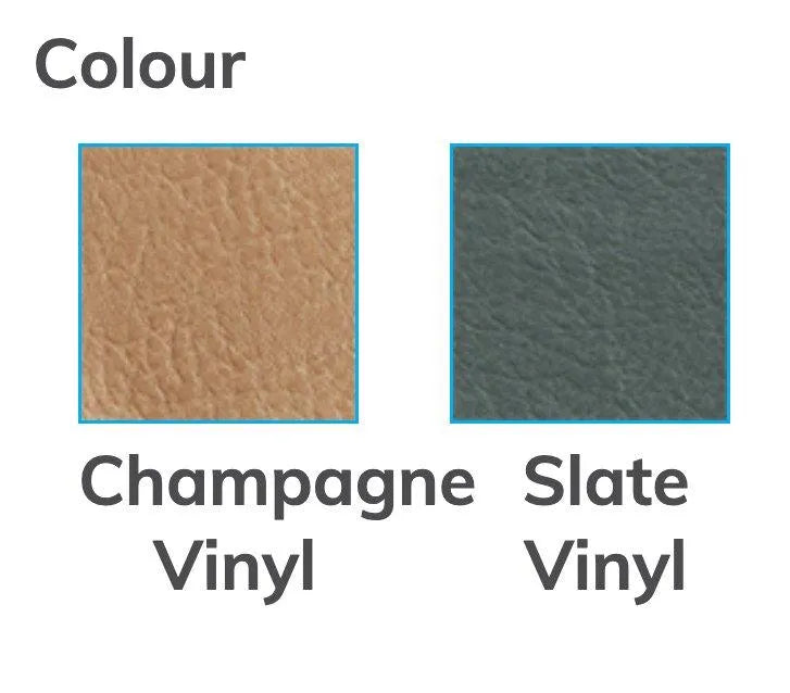 Aspire low back day chair featuring Champagne and Slate vinyl color options for adjustable height comfort